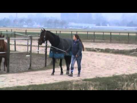 Ochtendje entrainement Jan van Dooyeweerd
