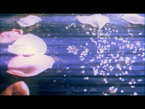 LOMOSTATIC - Résilience