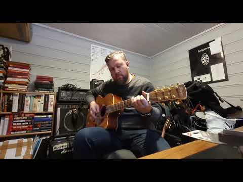 Ibanez Artwood 7 string