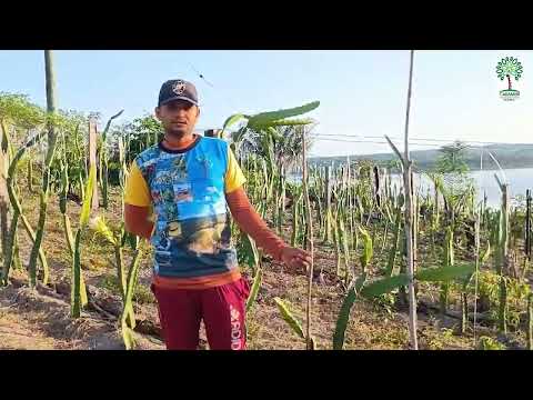https://youtu.be/LAbktr34VwY?si=14kGk2JlmcsUzQfx