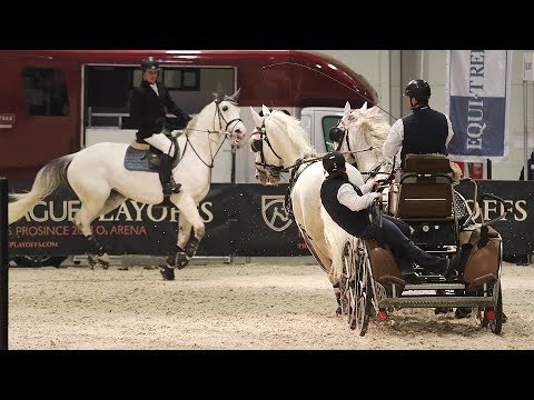 Na Jezdecký festival dorazí do Královic u Slaného stovky jezdců a koní