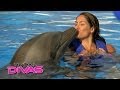 The Divas go swimming with dolphins: Total Divas ...