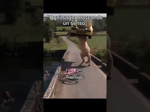 #funnymemes #bestmoments #memes #meme #follow #funnyvideo #funnyshorts #funny #funnymoments #shorts