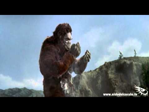 Nido del Cuculo - IO DOPPIO - Il trionfo di Kong - Kong vs Godzilla