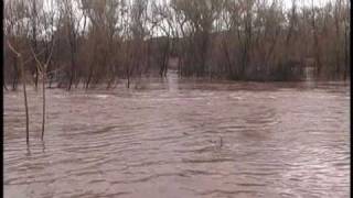 preview picture of video 'Cottonwood Flood of 2010'