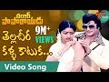 Sardar Paparayudu Movie Songs Tella Cheera NTR Sridevi TeluguOne