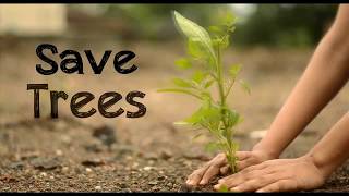 STOP TREE CUTTING AWARENESS