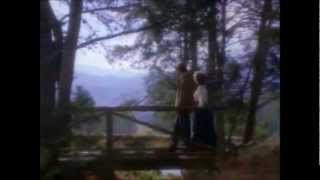 A Tribute to True Love