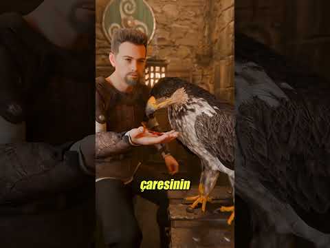Kadim Avcıların Korkunç Şahin Eğitme Sırrı! 📜🦅