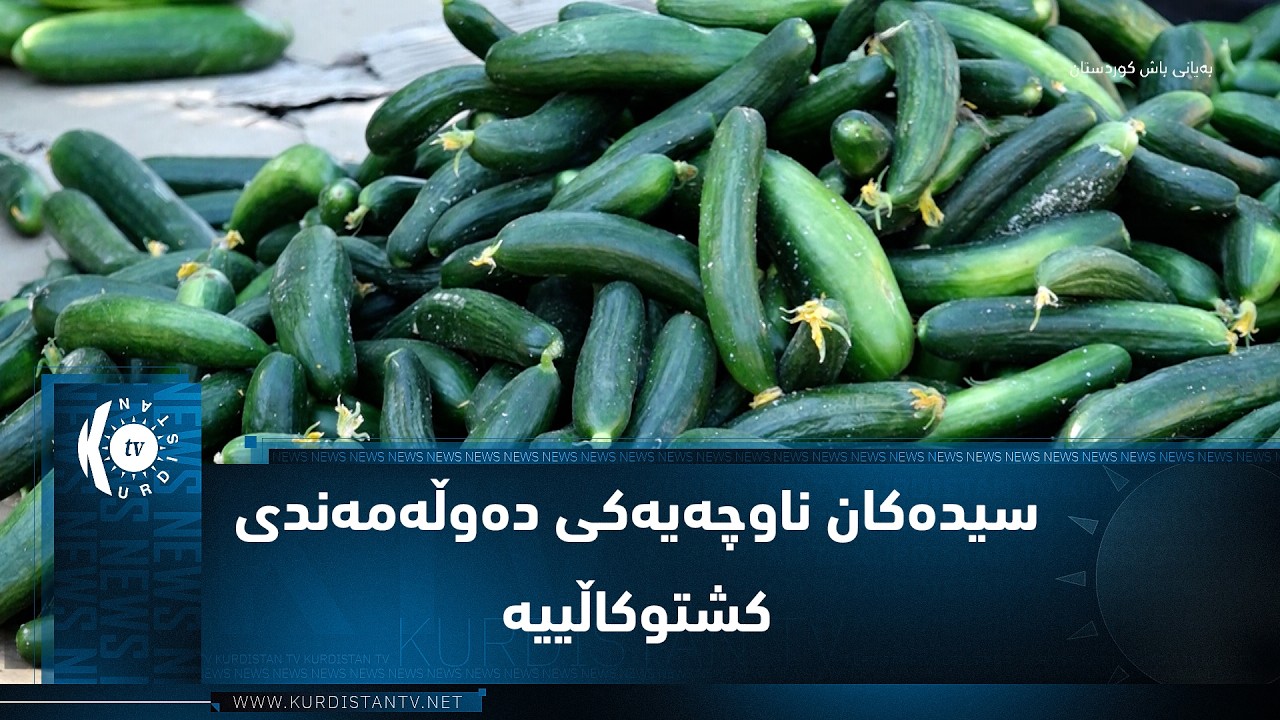 ڤیدیۆ | سیدەکان ناوچەیەکی دەوڵەمەندی کشتوکاڵییە