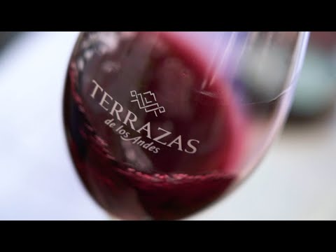 Discover Terrazas de los Andes