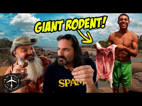 HUNTING FOR OUR DINNER IN THE AMAZON! Paca in Suriname!