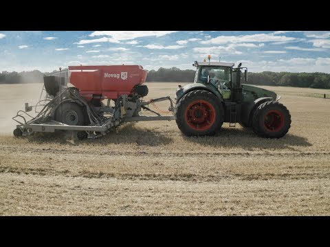 Zwischenfrüchte und Direktsaat in der regenerativen Landwirtschaft