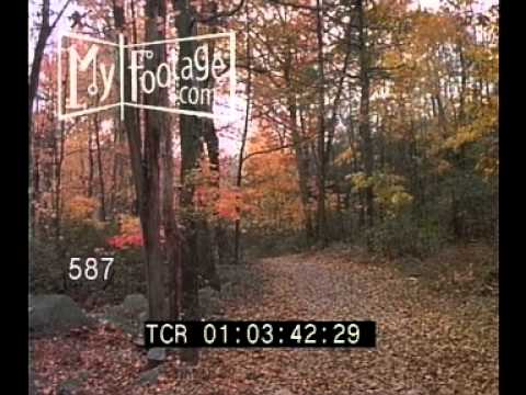 Cragsmoor Autumn (1992)