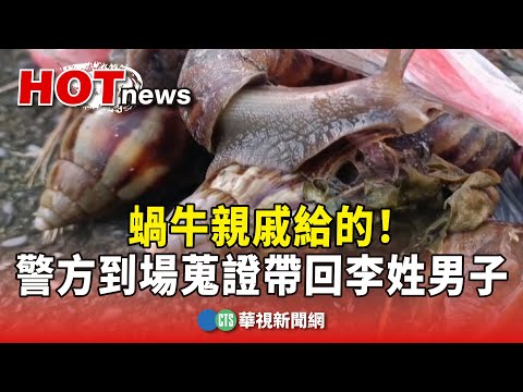 蝸牛親戚給的！　警方到場蒐證帶回李姓男子