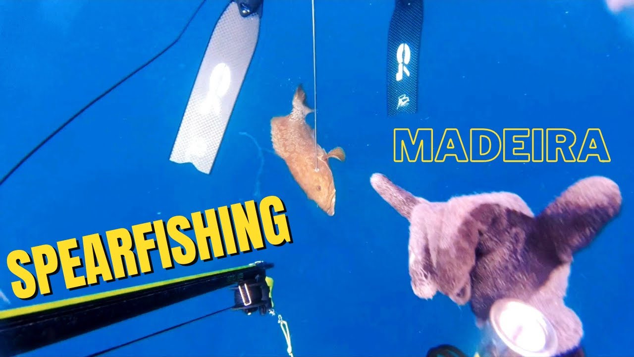 Pesca in apnea a Porto Santo Madeira