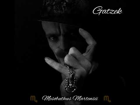 Gatzek - Zabawne (prod. Gatzek)