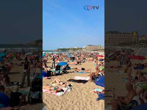  ' . get_the_title() . ' 