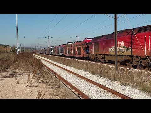 Comboio de Automóveis n.º 89941/0 - Santa Margarida