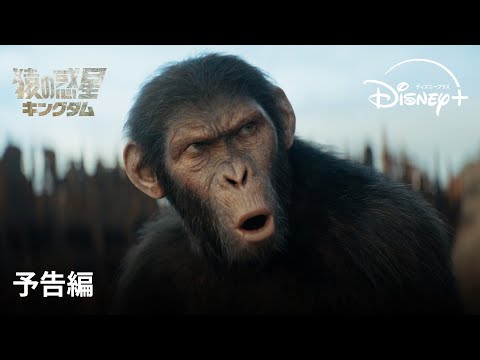 予告編（字幕版）