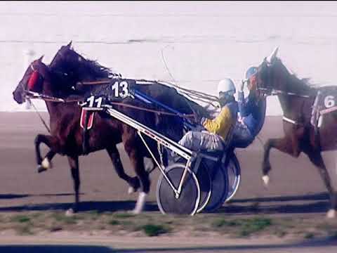 Trotto 17/02/2019 - 2ª corsa