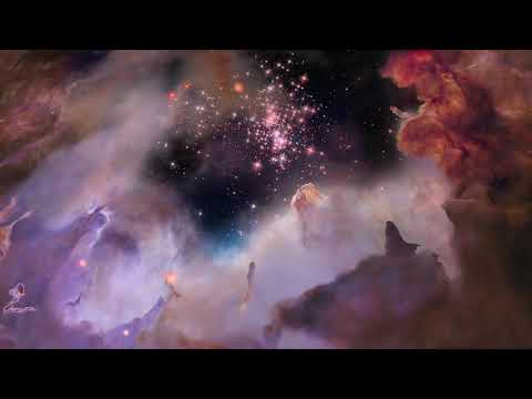 Fernando Nicknich - Bee Constellation