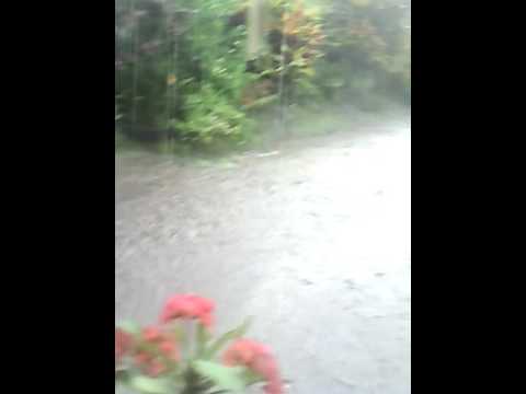 LA SORPRESA DE MIGUELITO