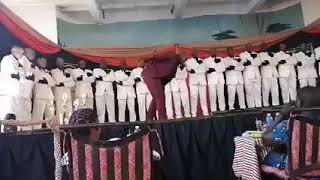 Download lagu Pomeroy Gordon Stars mp3