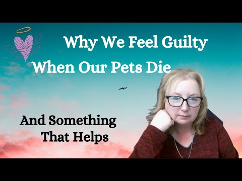 Why We Feel Guilty When Our Pet Dies And Something That Helps