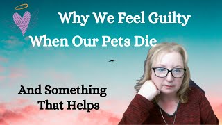 Why We Feel Guilty When Our Pet Dies And Something That Helps