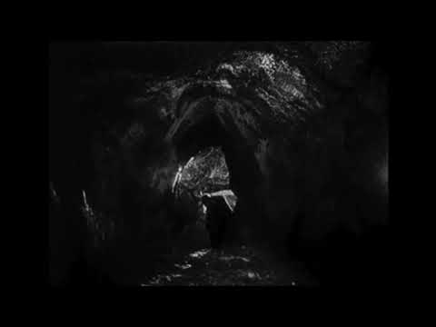 Tot aus dem Wald -  Blut, dem Blutgott [Video Clip] - 2021