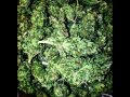 Crookers ft. Kelis - No Security (Zomby Remix ...