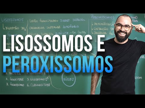 Lisossomos e Peroxissomos - Aula 23 (Parte 2) - Módulo 1 - Biologia Celular | Prof. Guilherme