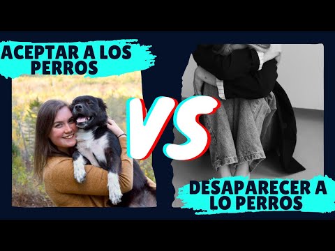 Mis perros me salvaron ❣️ malas experiencias 😪un perro se murio en mis manos🐶💔💔