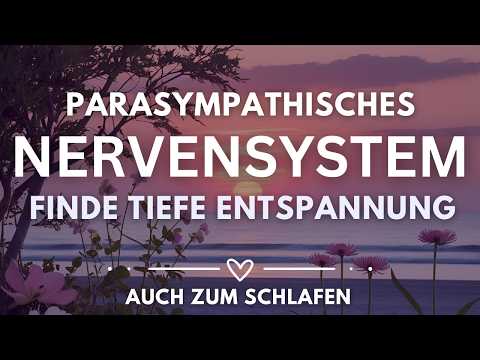 Meditation | Sicherheit & Ruhe Im Eigenen Körper Spüren | Parasympathisches Nervensystem Aktivieren