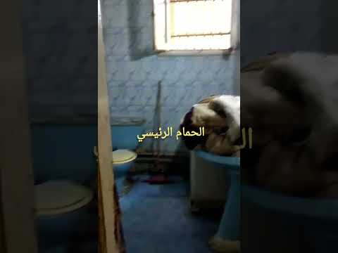 صورة مصغرة لفيديو العقار