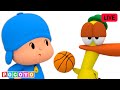 LIVE ️ Pocoyo S SPORTS GAMES Fun Games For Kids Pocoyo English Cartoons For Kids