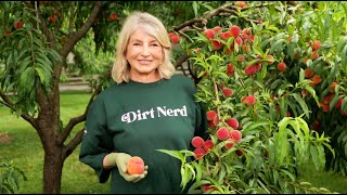 Miracle-Gro Martha's September Newsletter