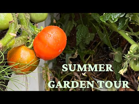 The Abundance of August Garden Tour (Zone 3)