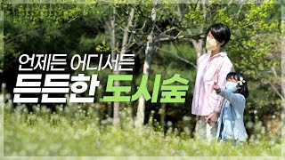 [#도시숲캠페인] 자녀안심그린숲 아이랑 숲이랑