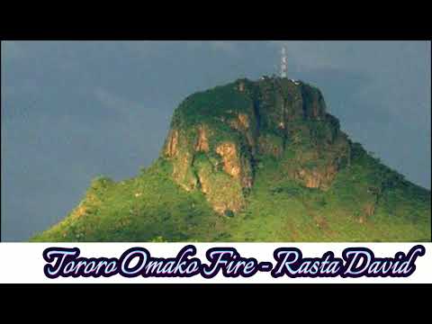 Tororo Omako Fire - Rasta David [ New Jap / Adhola / Tororo Music 2023 Latest]
