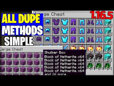 Minecraft 1.16.5 All Working Duplication Glitches (Multiplayer and Singleplayer)