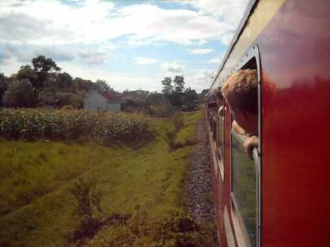 In drum spre Cacica - cu P 5737