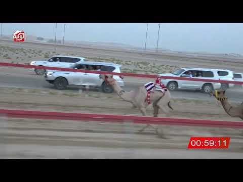 ش 1 (مرضيه) لـ محمد أحمد سعيد القنوبي 3:00 , تمهيدي مهرجان العين 2026/07/03 فطامين سويحان