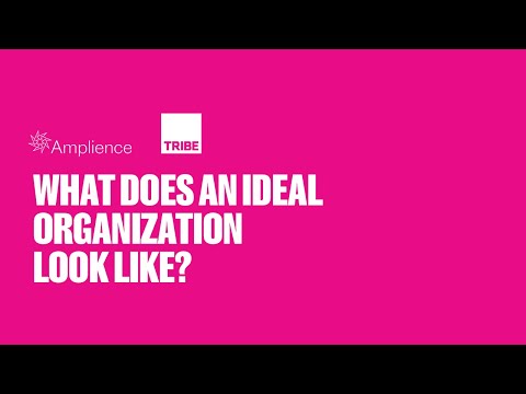 Amplience 5 Questions with thinkTribe - What does an ideal organisation look like?