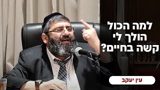 הרב אייל עמרמי - ח' תמוז תשפ"ד (הרב אייל עמרמי) - התמונה מוצגת ישירות מתוך אתר האינטרנט יוטיוב. זכויות היוצרים בתמונה שייכות ליוצרה. קישור קרדיט למקור התוכן נמצא בתוך דף הסרטון