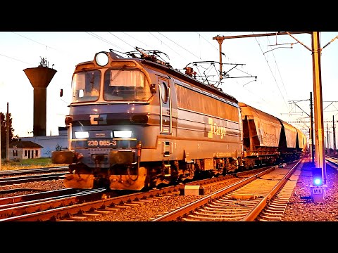 Freight Train with  loco „Laminátka“ 230 085 3 enters in Curtici-Romania from Hungary-25.08.2020