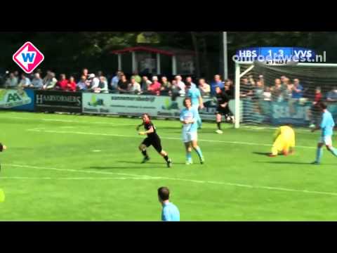 Samenvatting HBS - VVSB