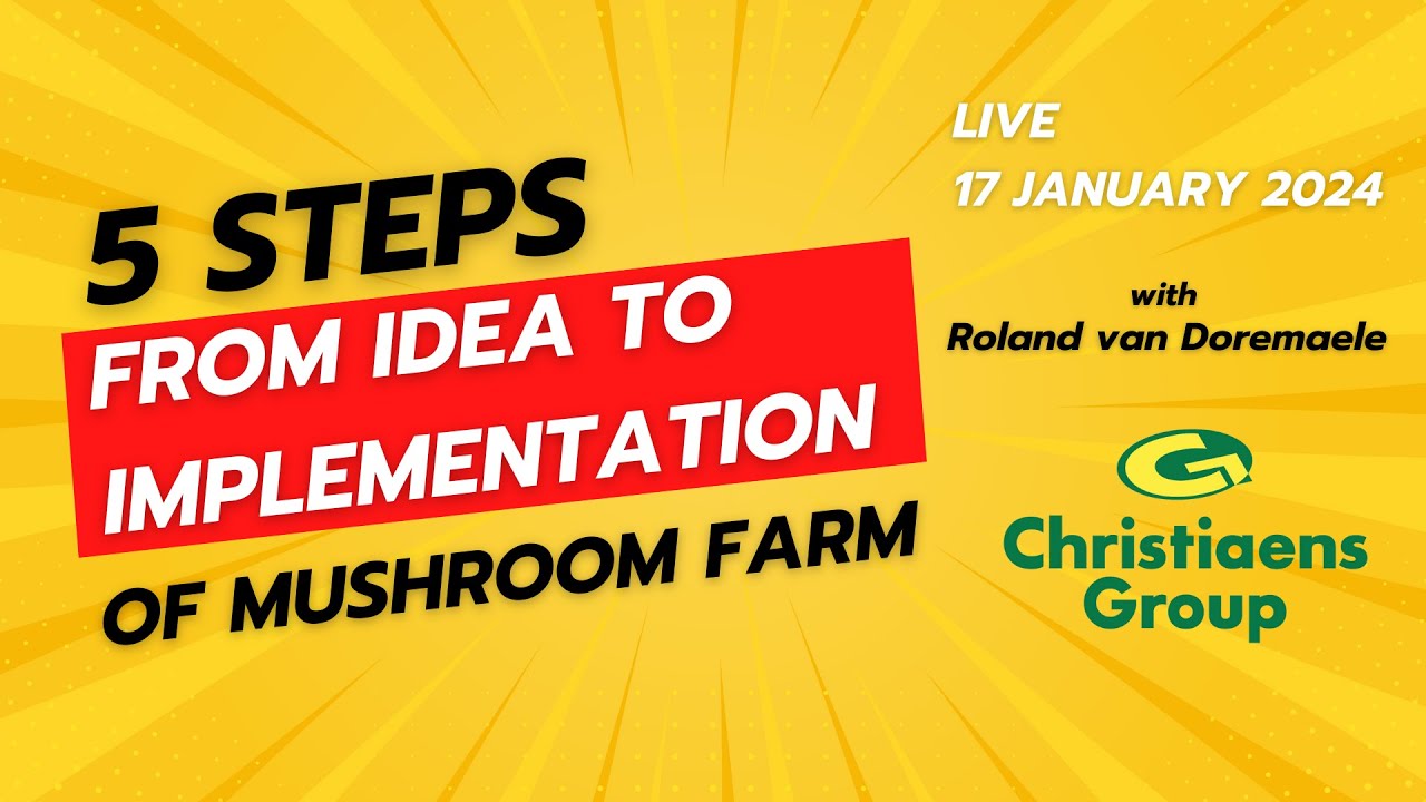 5 steps from idea to implementation of mushroom farm