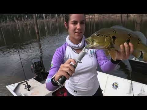 Programa Planeta Turismo - Caroebe - Entre Rios - Roraima